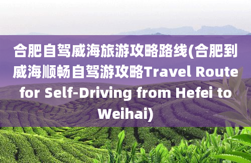 合肥自驾威海旅游攻略路线(合肥到威海顺畅自驾游攻略Travel Route for Self-Driving from Hefei to Weihai)