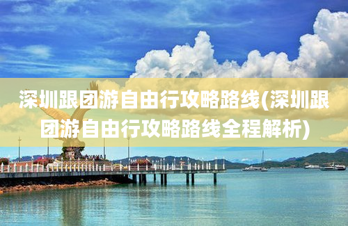 深圳跟团游自由行攻略路线(深圳跟团游自由行攻略路线全程解析)