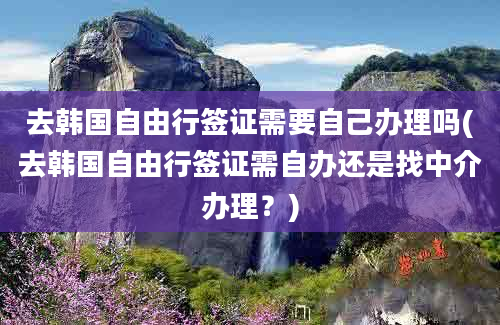 去韩国自由行签证需要自己办理吗(去韩国自由行签证需自办还是找中介办理？)