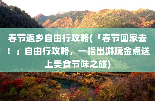 春节返乡自由行攻略(「春节回家去！」自由行攻略，一指出游玩金点送上美食节味之旅)