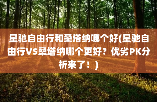 星驰自由行和桑塔纳哪个好(星驰自由行VS桑塔纳哪个更好？优劣PK分析来了！)