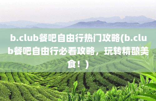 b.club餐吧自由行热门攻略(b.club餐吧自由行必看攻略，玩转精酿美食！)