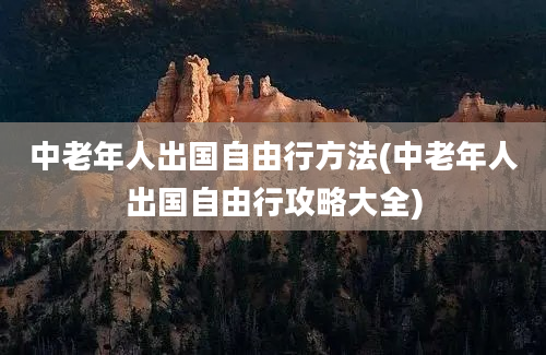 中老年人出国自由行方法(中老年人出国自由行攻略大全)