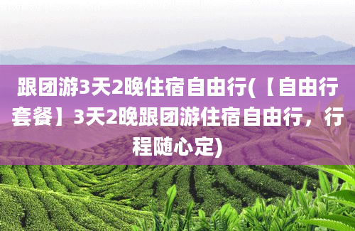 跟团游3天2晚住宿自由行(【自由行套餐】3天2晚跟团游住宿自由行，行程随心定)