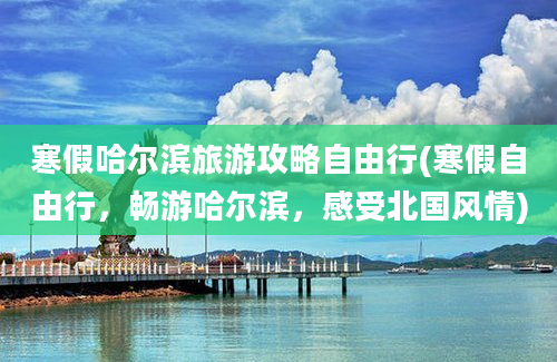 寒假哈尔滨旅游攻略自由行(寒假自由行，畅游哈尔滨，感受北国风情)