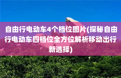 自由行电动车4个档位图片(探秘自由行电动车四档位全方位解析移动出行新选择)