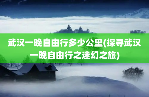 武汉一晚自由行多少公里(探寻武汉一晚自由行之迷幻之旅)