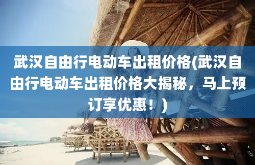 武汉自由行电动车出租价格(武汉自由行电动车出租价格大揭秘，马上预订享优惠！)