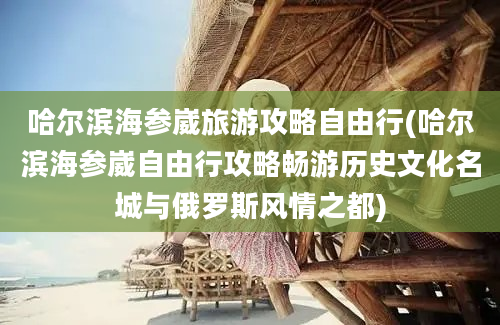 哈尔滨海参崴旅游攻略自由行(哈尔滨海参崴自由行攻略畅游历史文化名城与俄罗斯风情之都)