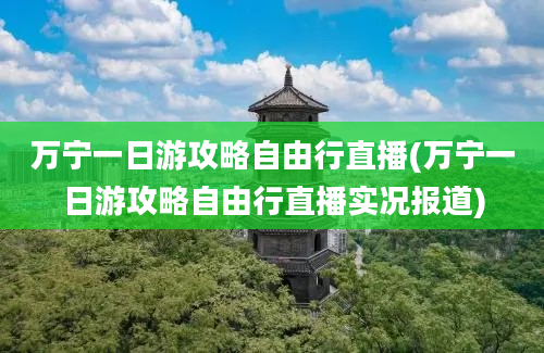 万宁一日游攻略自由行直播(万宁一日游攻略自由行直播实况报道)