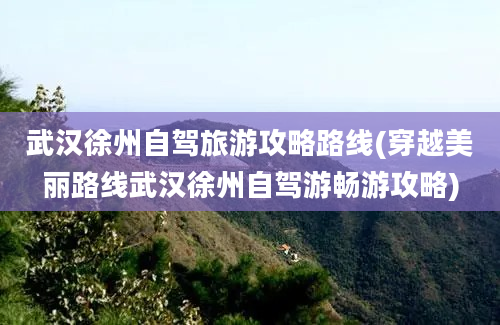 武汉徐州自驾旅游攻略路线(穿越美丽路线武汉徐州自驾游畅游攻略)