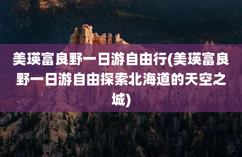 美瑛富良野一日游自由行(美瑛富良野一日游自由探索北海道的天空之城)