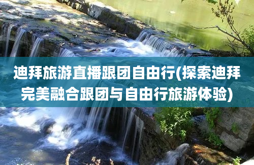 迪拜旅游直播跟团自由行(探索迪拜完美融合跟团与自由行旅游体验)