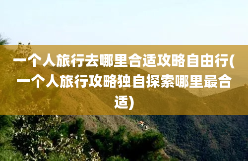 一个人旅行去哪里合适攻略自由行(一个人旅行攻略独自探索哪里最合适)