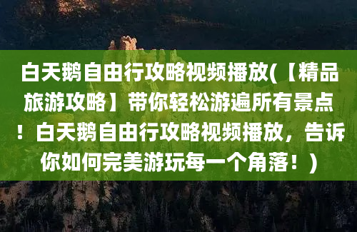 白天鹅自由行攻略视频播放(【精品旅游攻略】带你轻松游遍所有景点！白天鹅自由行攻略视频播放，告诉你如何完美游玩每一个角落！)