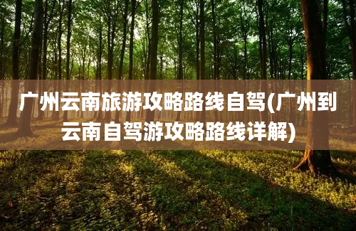 广州云南旅游攻略路线自驾(广州到云南自驾游攻略路线详解)