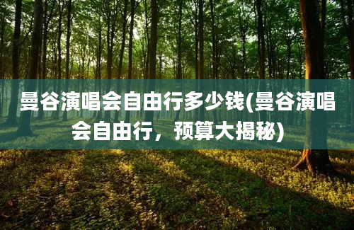 曼谷演唱会自由行多少钱(曼谷演唱会自由行，预算大揭秘)