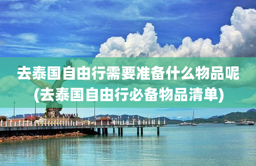 去泰国自由行需要准备什么物品呢(去泰国自由行必备物品清单)