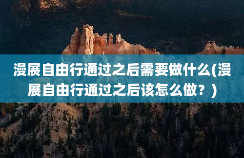 漫展自由行通过之后需要做什么(漫展自由行通过之后该怎么做？)