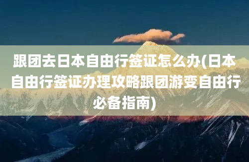 跟团去日本自由行签证怎么办(日本自由行签证办理攻略跟团游变自由行必备指南)