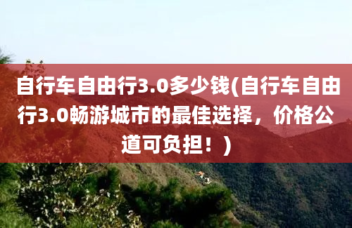 自行车自由行3.0多少钱(自行车自由行3.0畅游城市的最佳选择，价格公道可负担！)