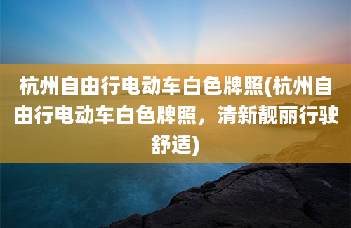 杭州自由行电动车白色牌照(杭州自由行电动车白色牌照，清新靓丽行驶舒适)