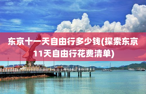 东京十一天自由行多少钱(探索东京11天自由行花费清单)