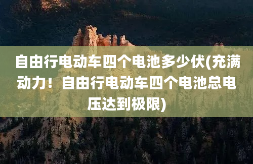 自由行电动车四个电池多少伏(充满动力！自由行电动车四个电池总电压达到极限)