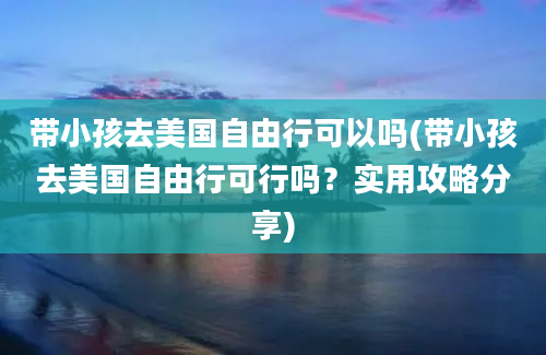 带小孩去美国自由行可以吗(带小孩去美国自由行可行吗？实用攻略分享)