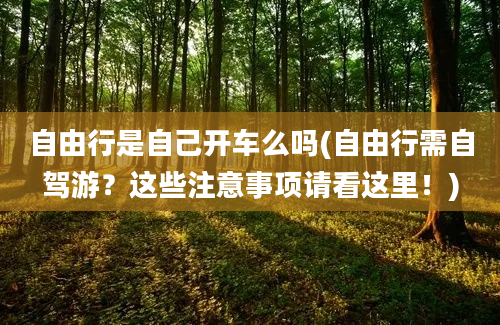 自由行是自己开车么吗(自由行需自驾游？这些注意事项请看这里！)