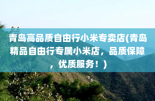 青岛高品质自由行小米专卖店(青岛精品自由行专属小米店，品质保障，优质服务！)