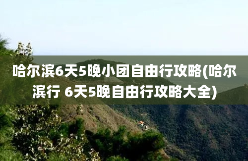 哈尔滨6天5晚小团自由行攻略(哈尔滨行 6天5晚自由行攻略大全)