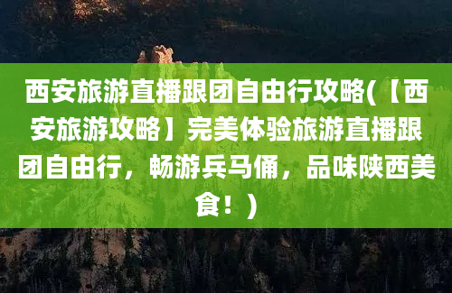 西安旅游直播跟团自由行攻略(【西安旅游攻略】完美体验旅游直播跟团自由行，畅游兵马俑，品味陕西美食！)