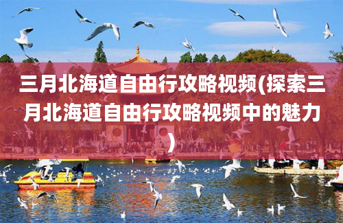 三月北海道自由行攻略视频(探索三月北海道自由行攻略视频中的魅力)