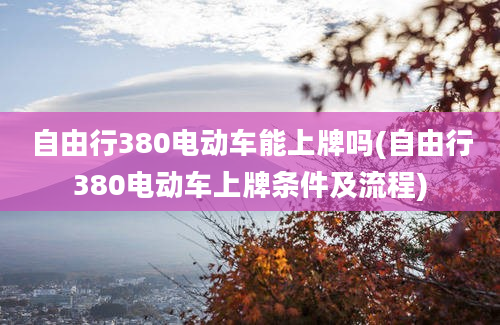 自由行380电动车能上牌吗(自由行380电动车上牌条件及流程)