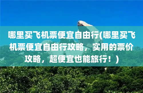 哪里买飞机票便宜自由行(哪里买飞机票便宜自由行攻略，实用的票价攻略，超便宜也能旅行！)