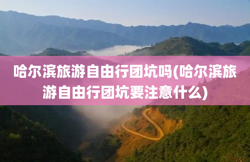 哈尔滨旅游自由行团坑吗(哈尔滨旅游自由行团坑要注意什么)