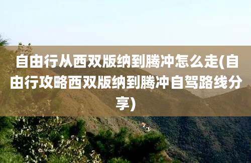 自由行从西双版纳到腾冲怎么走(自由行攻略西双版纳到腾冲自驾路线分享)