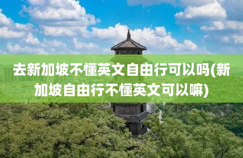 去新加坡不懂英文自由行可以吗(新加坡自由行不懂英文可以嘛)