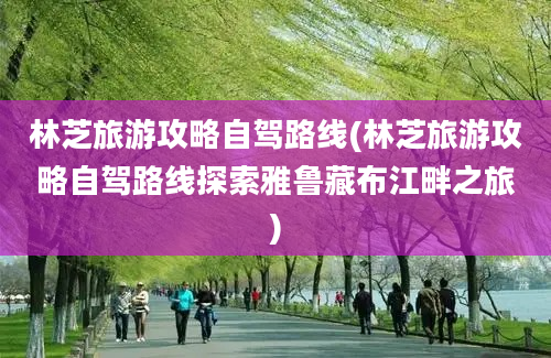 林芝旅游攻略自驾路线(林芝旅游攻略自驾路线探索雅鲁藏布江畔之旅)