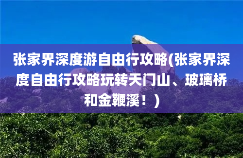 张家界深度游自由行攻略(张家界深度自由行攻略玩转天门山、玻璃桥和金鞭溪！)