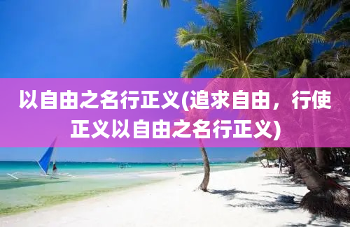 以自由之名行正义(追求自由，行使正义以自由之名行正义)