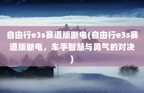 自由行e3s赛道版断电(自由行e3s赛道版断电，车手智慧与勇气的对决)