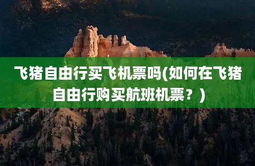 飞猪自由行买飞机票吗(如何在飞猪自由行购买航班机票？)