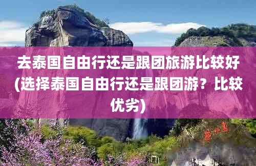 去泰国自由行还是跟团旅游比较好(选择泰国自由行还是跟团游？比较优劣)