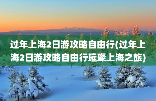 过年上海2日游攻略自由行(过年上海2日游攻略自由行璀璨上海之旅)