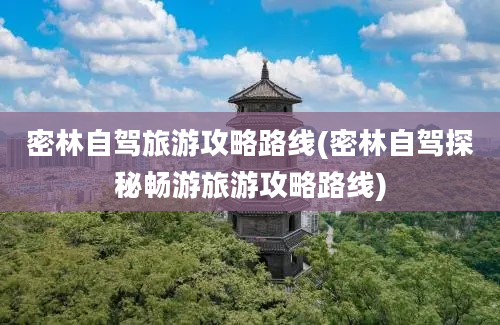 密林自驾旅游攻略路线(密林自驾探秘畅游旅游攻略路线)