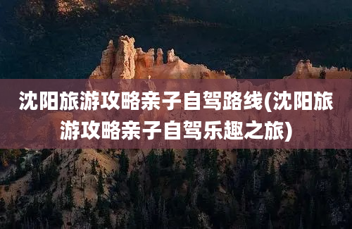 沈阳旅游攻略亲子自驾路线(沈阳旅游攻略亲子自驾乐趣之旅)