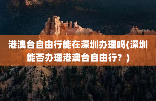 港澳台自由行能在深圳办理吗(深圳能否办理港澳台自由行？)