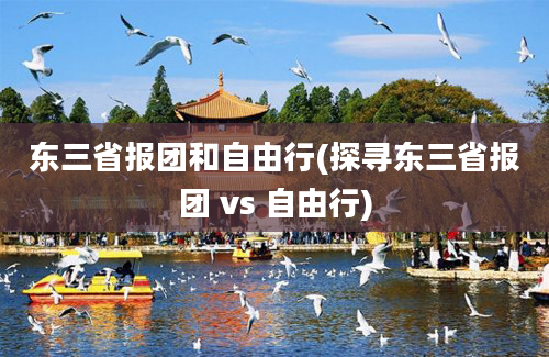 东三省报团和自由行(探寻东三省报团 vs 自由行)